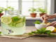 lemon balm recipe