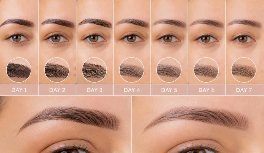 My First Week After Eyebrow Tattoo: Day-by-Day Changes
